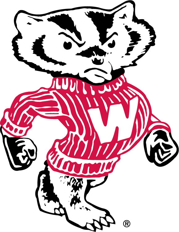 Wisconsin Badgers 1970-2003 Secondary Logo diy DTF decal sticker